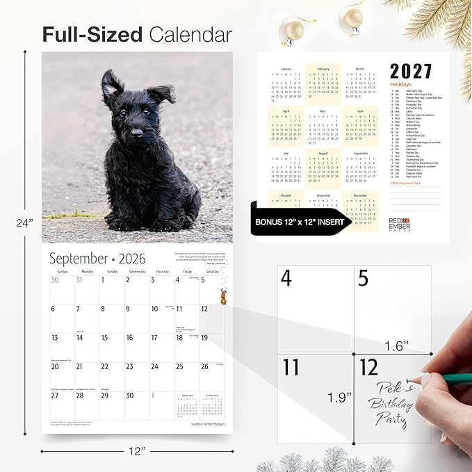 RED EMBER Scottish Terrier Puppies 2026 Wall Calendar 12 Month | 12" x 24" Open | Thick & Sturdy Paper | Holiday Gift | Cute Puppy Dog Calendar 2026