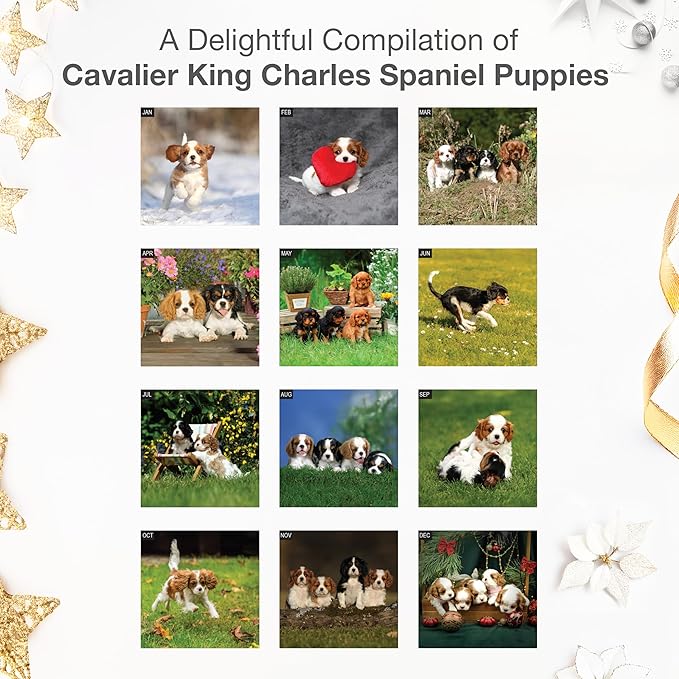 RED EMBER Cavalier King Charles Spaniel Puppies 2026 Wall Calendar 12 Month | 12" x 24" Open | Thick & Sturdy Paper | Holiday Gift | Cute Puppy Dog Calendar 2026