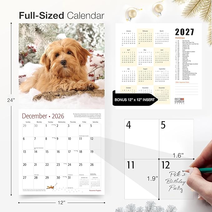 RED EMBER Havanese Puppies 2026 Wall Calendar 12 Month | 12" x 24" Open | Thick & Sturdy Paper | Holiday Gift | Cute Puppy Dog Calendar 2026