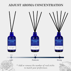 Reed Oil Diffuser Set, Fragrance Diffuser - Floral Notes, Vanilla, Cinnamon & Amber, Includes 6 Rattan Scented Sticks Diffuser Reeds, Home & Office Decor, 110ml/3.7oz