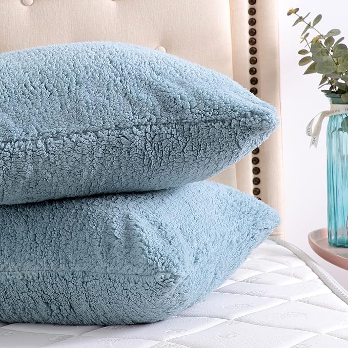 Reafort Ultra Soft Sherpa Pillowcases Pillow Covers Standard Size 20"x26" Pack of 2 with Zipper Closure (Blue, 20”x26” Standard Sham)