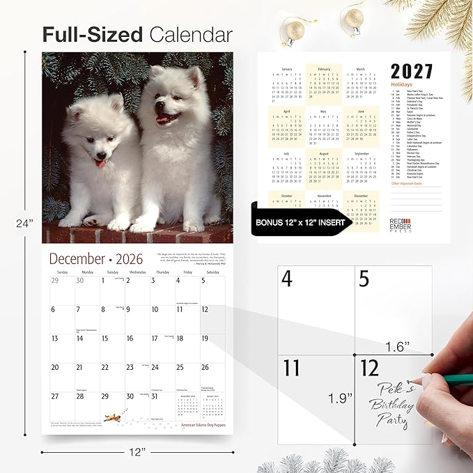 RED EMBER American Eskimo Dog Puppies 2026 Wall Calendar 12 Month | 12" x 24" Open | Thick & Sturdy Paper | Holiday Gift | Cute Puppy Dog Calendar 2026