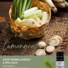 Essence Pearl Travel Case - Wearable Aromatherapy Kit with Nasal Diffuser Rings, Soaking Bay, and 5mL Essential Oil – Portable Wellness Gift Set for On-The-Go Self Care