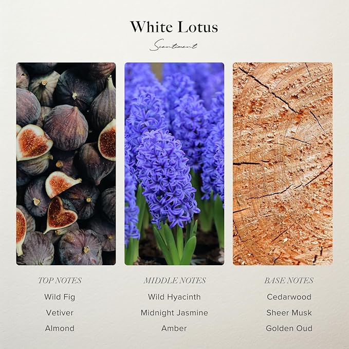 Scentiment Diffuser Oil - White Lotus | Aromatherapy Home Fragrance | Inspired by 5-Star Hotels | Luxurious Scent with Notes of Wild Fig, Vetiver, Almond, Sandalwood (20 mL)