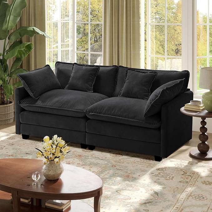 77.6" Modular Sectional Sofa,Loveseat Couch for Living Room, Modern Deep Seat Sofa 2 Seater Chenille Fabric Comfy Cloud Couches with Throw Pillows for Apartment,Small Spaces