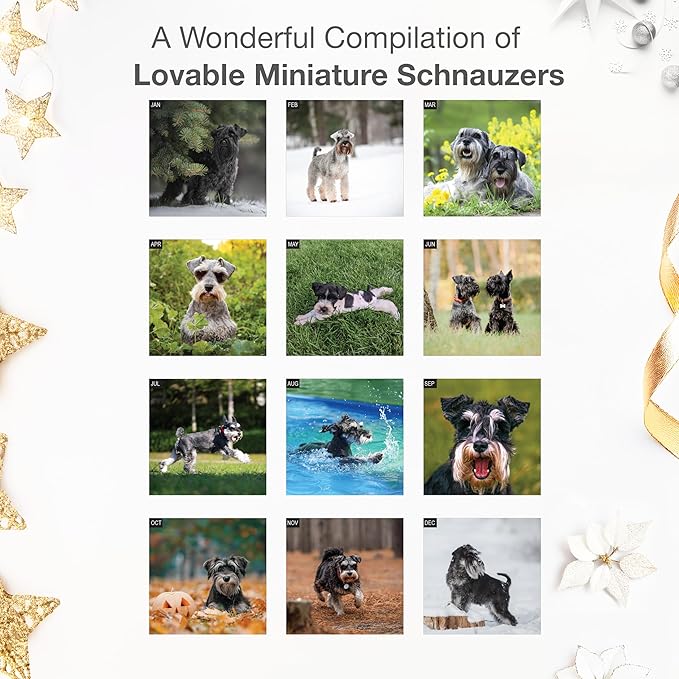 RED EMBER Miniature Schnauzers 2026 Wall Calendar 12 Month | 12" x 24" Open | Thick & Sturdy Paper | Holiday Gift | Cute Puppy Dog Calendar 2026