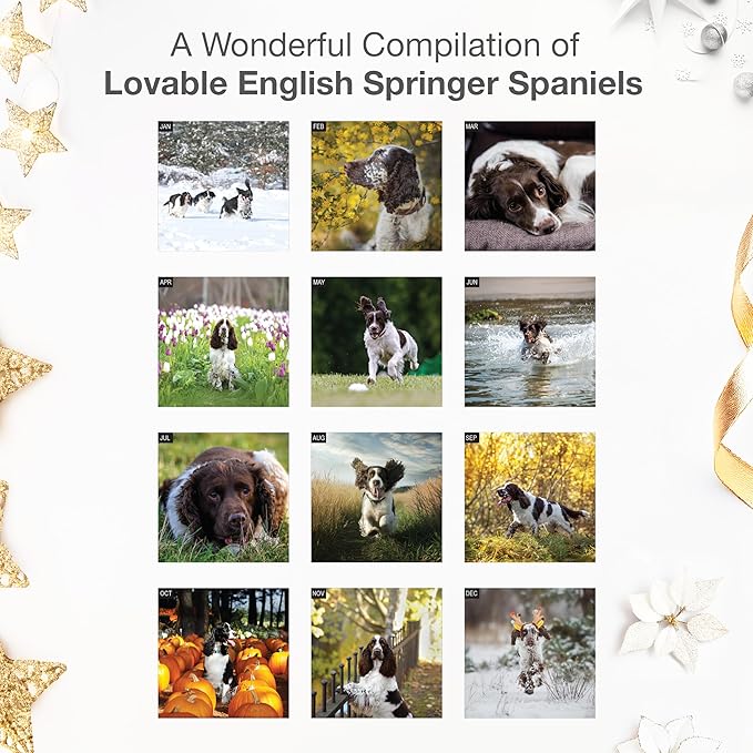 RED EMBER English Springer Spaniels 2026 Wall Calendar 12 Month | 12" x 24" Open | Thick & Sturdy Paper | Holiday Gift | Cute Puppy Dog Calendar 2026
