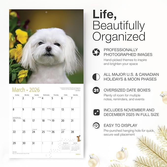 RED EMBER Maltese 2026 Wall Calendar 12 Month | 12" x 24" Open | Thick & Sturdy Paper | Holiday Gift | Cute Puppy Dog Calendar 2026