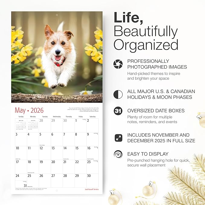 RED EMBER Jack Russell Terriers 2026 Wall Calendar 12 Month | 12" x 24" Open | Thick & Sturdy Paper | Holiday Gift | Cute Puppy Dog Calendar 2026