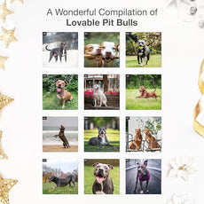 RED EMBER Pit Bulls 2026 Wall Calendar 12 Month | 12