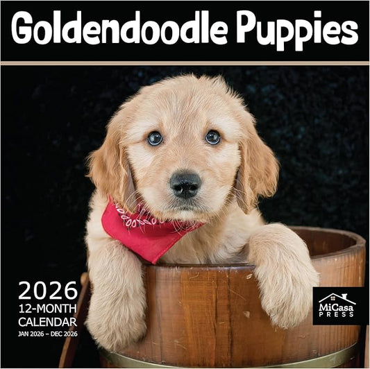 MICASA PRESS Goldendoodle Puppies 2026 Wall Calendar 12 Month | 12" x 24" Open | Thick & Sturdy Paper | Holiday Gift | Cute Puppy Dog Calendar 2026