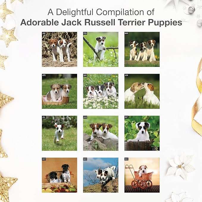 RED EMBER Jack Russell Terrier Puppies 2026 Mini Wall Calendar 12 Month | 12" x 24" Open | Thick & Sturdy Paper | Holiday Gift | Cute Dog Puppy Calendar 2026