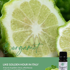 Essence Pearl Travel Case - Wearable Aromatherapy Kit with Nasal Diffuser Rings, Soaking Bay, and 5mL Essential Oil – Portable Wellness Gift Set for On?The?Go Self Care