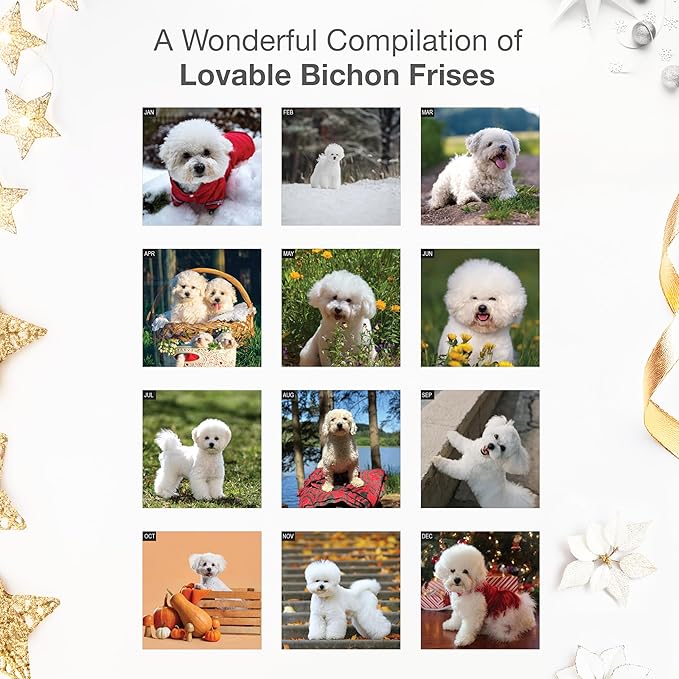 RED EMBER Bichon Frises 2026 Wall Calendar 12 Month | 12" x 24" Open | Thick & Sturdy Paper | Holiday Gift | Cute Puppy Dog Calendar 2026