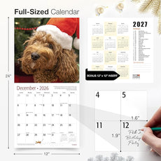 RED EMBER Cavapoos 2026 Wall Calendar 12 Month | 12