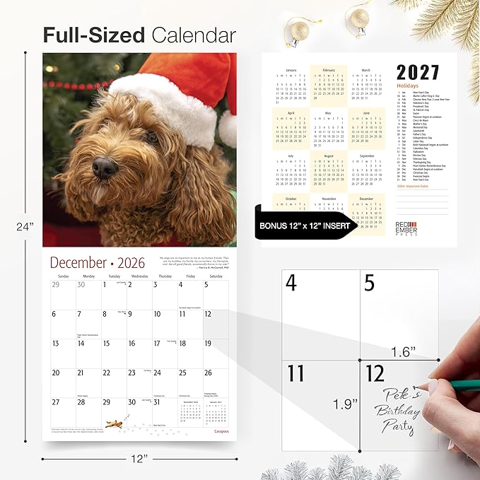 RED EMBER Cavapoos 2026 Wall Calendar 12 Month | 12" x 24" Open | Thick & Sturdy Paper | Holiday Gift | Cute Puppy Dog Calendar 2026