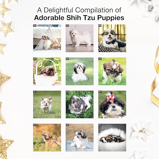 RED EMBER Shih Tzu Puppies 2026 Mini Wall Calendar 12 Month | 7" x 14" Open | Thick & Sturdy Paper | Holiday Gift | Cute Puppy Dog Calendar 2026