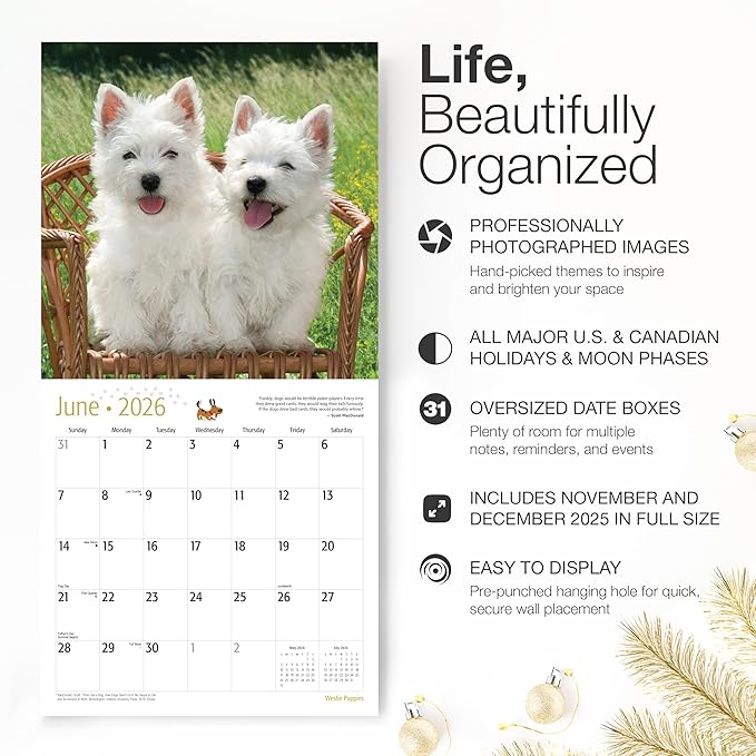 RED EMBER Westie Puppies West Highland White Terrier 2026 Wall Calendar 12 Month | 12" x 24" Open | Thick & Sturdy Paper | Holiday Gift | Cute Puppy Dog Calendar 2026