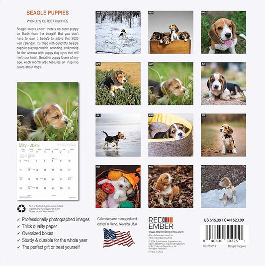 RED EMBER Beagle Puppies 2025 Wall Calendar 12 Month | 12" x 24" Open | Thick & Sturdy Paper | Giftable | Dog Calendar 2025