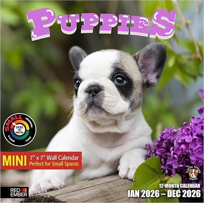 RED EMBER Puppies 2026 Mini Wall Calendar 12 Month | 7" x 14" Open | Thick & Sturdy Paper | Holiday Gift | Cute Puppy Dog Calendar 2026