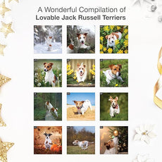 RED EMBER Jack Russell Terriers 2026 Wall Calendar 12 Month | 12