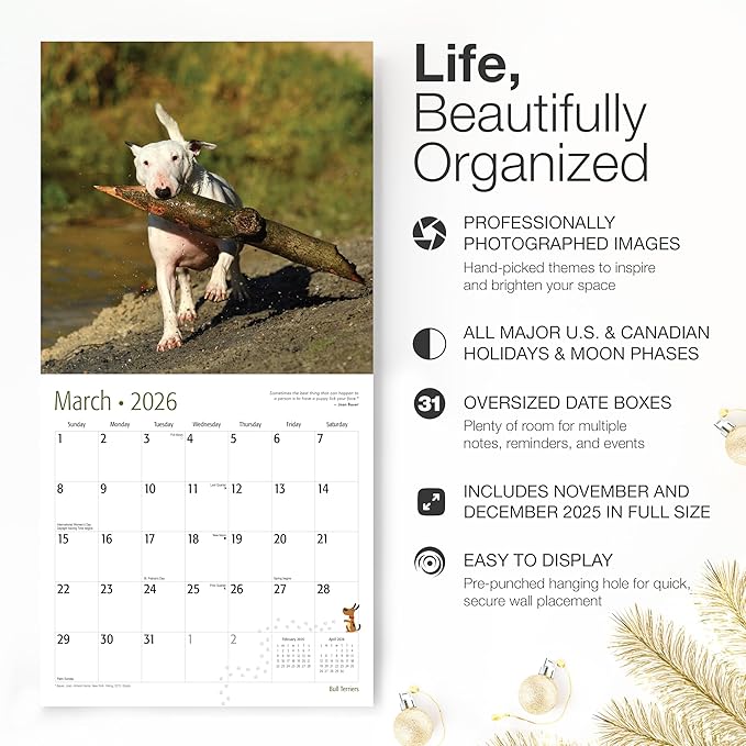 RED EMBER Bull Terriers 2026 Wall Calendar 12 Month | 12" x 24" Open | Thick & Sturdy Paper | Holiday Gift | Cute Puppy Dog Calendar 2026