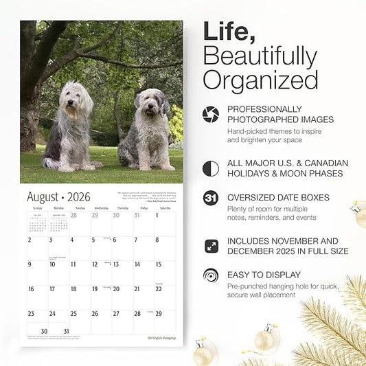 RED EMBER Old English Sheepdogs 2026 Wall Calendar 12 Month | 12" x 24" Open | Thick & Sturdy Paper | Holiday Gift | Cute Puppy Dog Calendar 2026