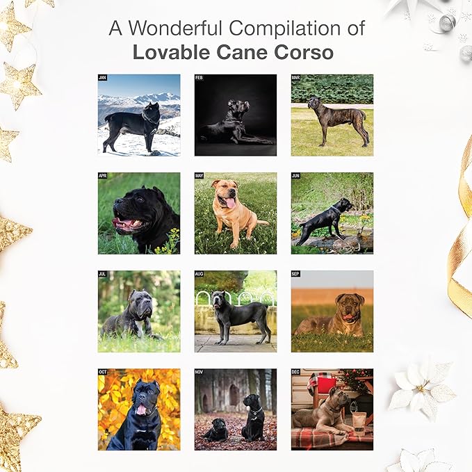 RED EMBER Cane Corso 2026 Wall Calendar 12 Month | 12" x 24" Open | Thick & Sturdy Paper | Holiday Gift | Cute Puppy Dog Calendar 2026