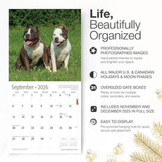 RED EMBER American Staffordshire Terriers 2026 Wall Calendar 12 Month | 12