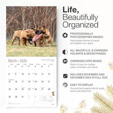 RED EMBER Puppies 2026 Wall Calendar 12 Month | 12