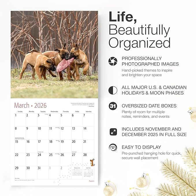 RED EMBER Puppies 2026 Wall Calendar 12 Month | 12" x 24" Open | Thick & Sturdy Paper | Holiday Gift | Cute Puppy Dog Calendar 2026