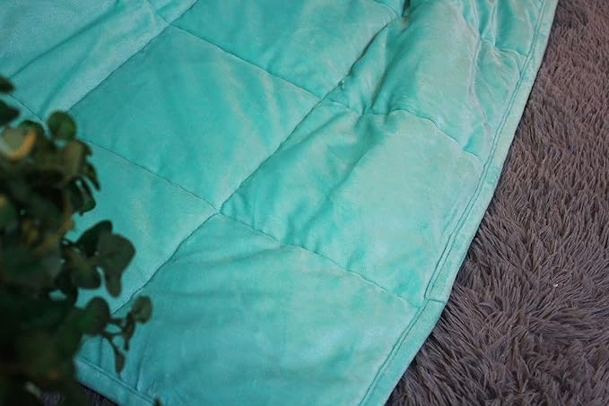 ALANSMA Reversible Weighted Blanket for All Season, Luxury Velvet, Warm and Cool, Adult 10Lb Green Weighted Blanket, Enjoy Sleeping Anywhere(Light Green,48"x72" 10lbs)