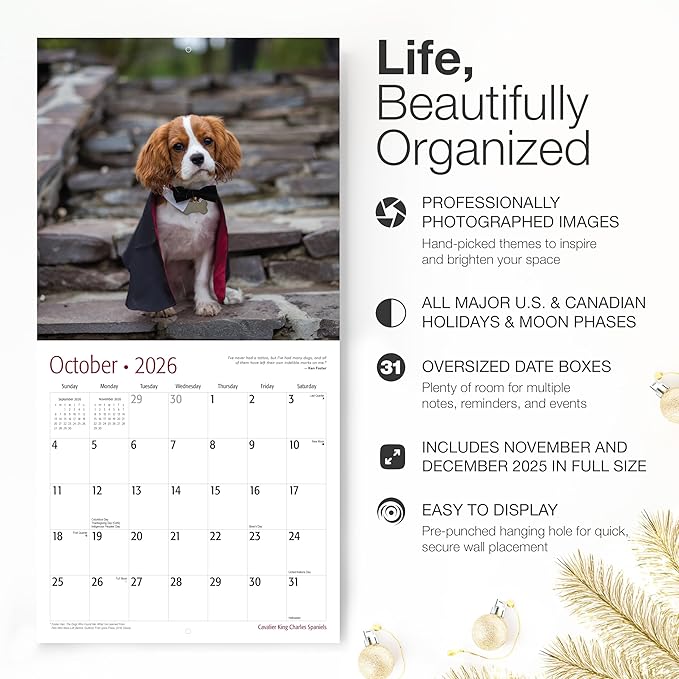 RED EMBER Cavalier King Charles Spaniels 2026 Wall Calendar 12 Month | 12" x 24" Open | Thick & Sturdy Paper | Holiday Gift | Cute Puppy Dog Calendar 2026