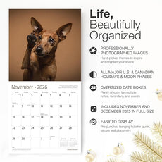 RED EMBER Miniature Pinschers 2026 Wall Calendar 12 Month | 12