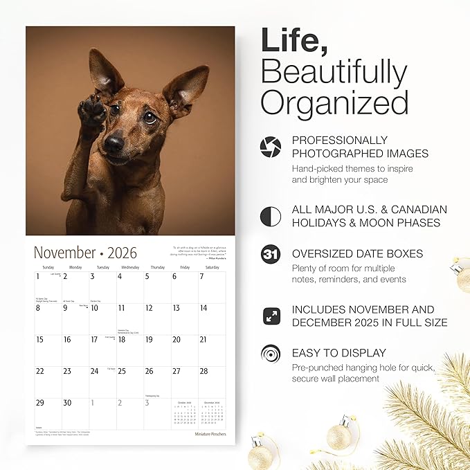 RED EMBER Miniature Pinschers 2026 Wall Calendar 12 Month | 12" x 24" Open | Thick & Sturdy Paper | Holiday Gift | Cute Puppy Dog Calendar 2026