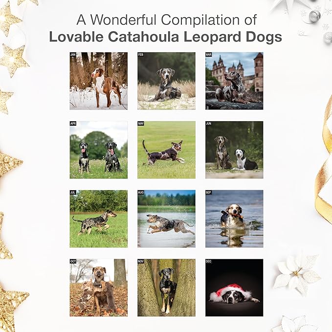 RED EMBER Catahoula Leopard Dogs 2026 Wall Calendar 12 Month | 12" x 24" Open | Thick & Sturdy Paper | Holiday Gift | Cute Puppy Dog Calendar 2026