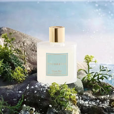 COCORRÍNA Reed Diffuser - Ocean Mist 6.7 Fl.oz Reed Diffuser Set with Sticks & Preserved Baby's Breath, Reed Diffuser for Home Bathroom Shelf Decor