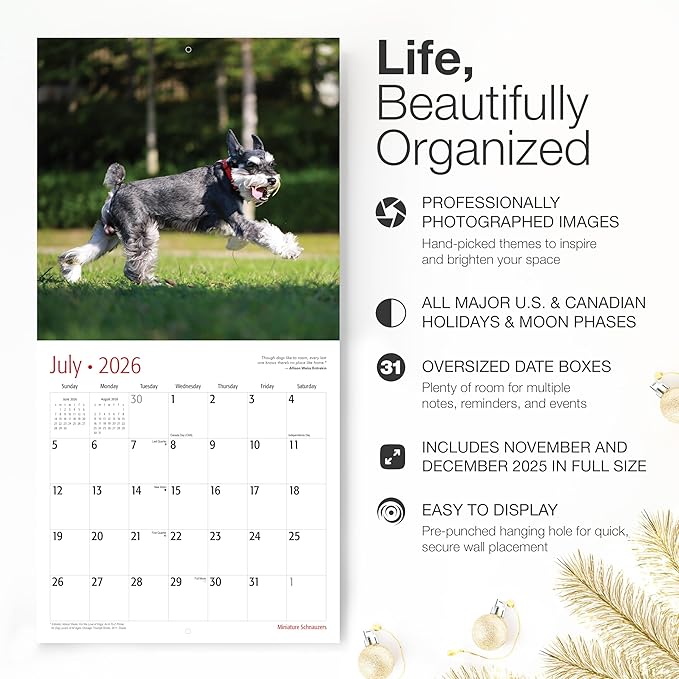 RED EMBER Miniature Schnauzers 2026 Wall Calendar 12 Month | 12" x 24" Open | Thick & Sturdy Paper | Holiday Gift | Cute Puppy Dog Calendar 2026