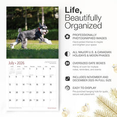 RED EMBER Miniature Schnauzers 2026 Wall Calendar 12 Month | 12