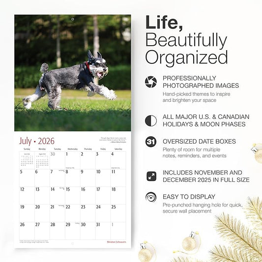 RED EMBER Miniature Schnauzers 2026 Wall Calendar 12 Month | 12" x 24" Open | Thick & Sturdy Paper | Holiday Gift | Cute Puppy Dog Calendar 2026