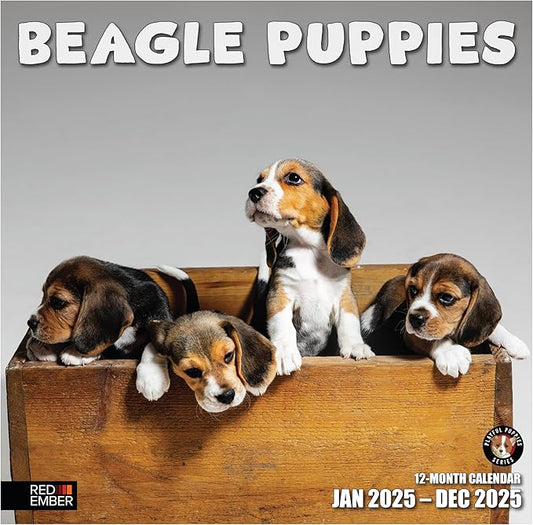 RED EMBER Beagle Puppies 2025 Wall Calendar 12 Month | 12" x 24" Open | Thick & Sturdy Paper | Giftable | Dog Calendar 2025