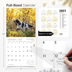 RED EMBER English Springer Spaniels 2026 Wall Calendar 12 Month | 12