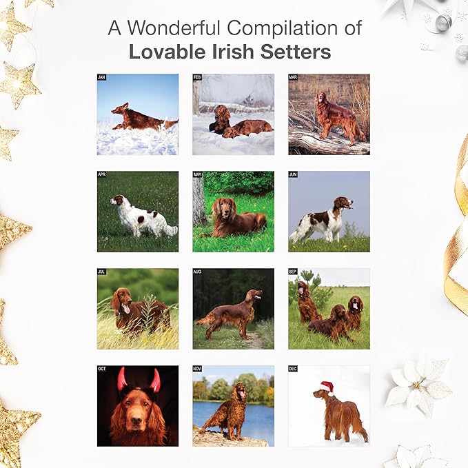 RED EMBER Irish Setters 2026 Wall Calendar 12 Month | 12" x 24" Open | Thick & Sturdy Paper | Holiday Gift | Cute Puppy Dog Calendar 2026