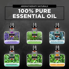 Aromatherapy Essential Oil Diffuser w/ 3D Glass Vase Cover & Colorful LED Light Display | Cool Mist Fragrance Diffuser for Bedroom, Large Room & Dorm | Auto Shut-Off Humidifier w/ 6 Essential Oils