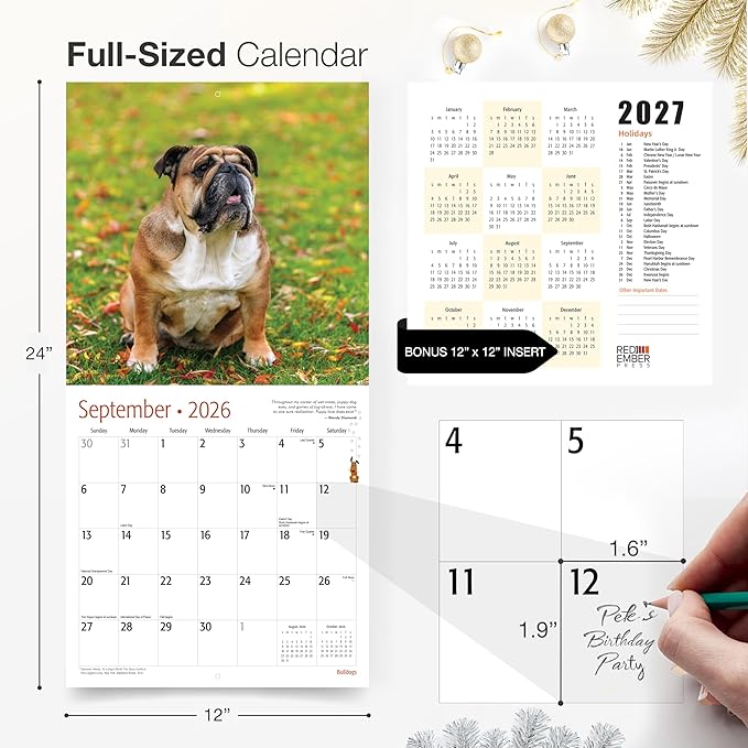 RED EMBER English and American Bulldogs 2026 Wall Calendar 12 Month | 12" x 24" Open | Thick & Sturdy Paper | Holiday Gift | Cute Puppy Dog Calendar 2026