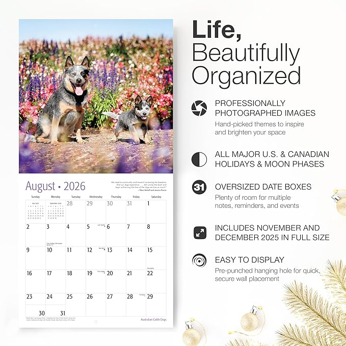RED EMBER Australian Cattle Dogs 2026 Wall Calendar 12 Month | 12" x 24" Open | Thick & Sturdy Paper | Holiday Gift | Cute Puppy Dog Calendar 2026