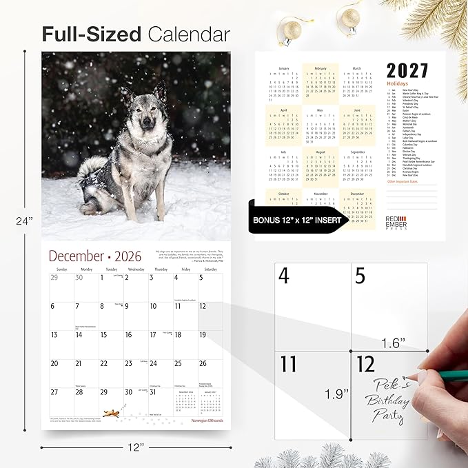 RED EMBER Norweigian Elkhounds 2026 Wall Calendar 12 Month | 12" x 24" Open | Thick & Sturdy Paper | Holiday Gift | Cute Puppy Dog Calendar 2026