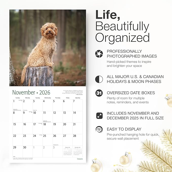 RED EMBER Cavapoos 2026 Wall Calendar 12 Month | 12" x 24" Open | Thick & Sturdy Paper | Holiday Gift | Cute Puppy Dog Calendar 2026