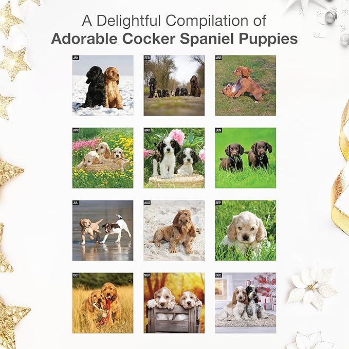 RED EMBER Cocker Spaniel Puppies 2026 Wall Calendar 12 Month | 12" x 24" Open | Thick & Sturdy Paper | Holiday Gift | Cute Puppy Dog Calendar 2026