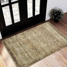 Area Rug 2x3 Washable Rug Door Mat Vintage Distressed Taupe Doormat Indoor Entrance Traditional Thin Floral Print Non Slip Carpet for Kitchen Bathroom Bedroom Living Room